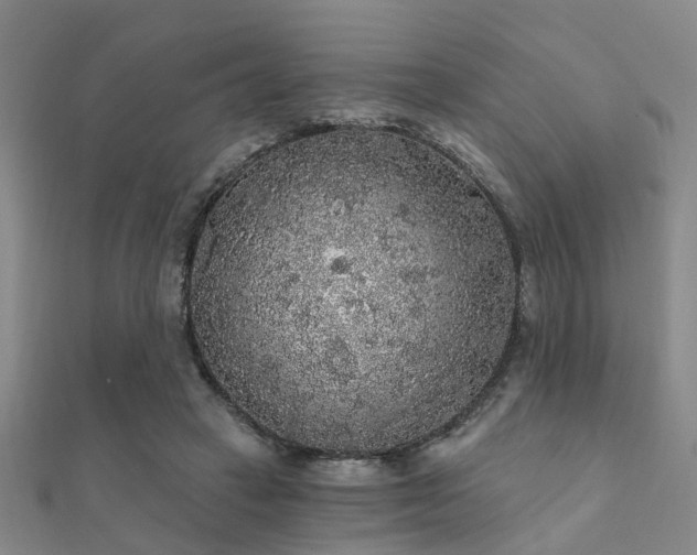 X0000112360449200908131459