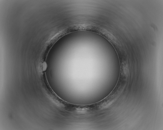 X0000112360450200908131459