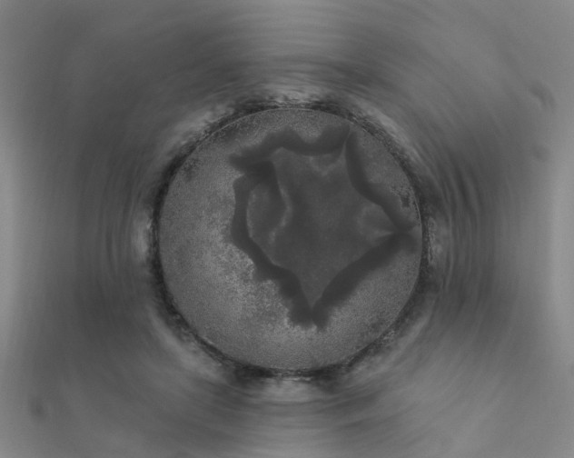 X0000112360451200908131459