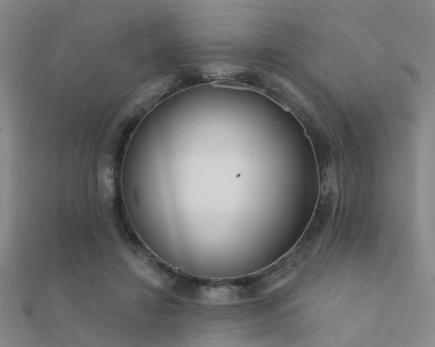 X0000112360452200908131459