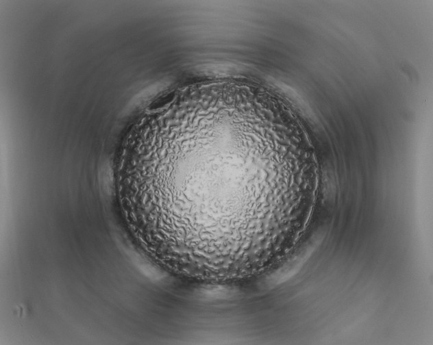X0000112360453200908131459