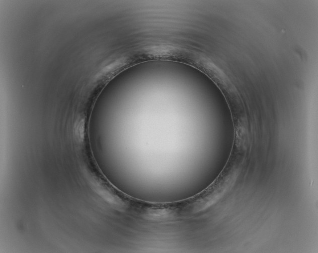X0000112360454200908131459