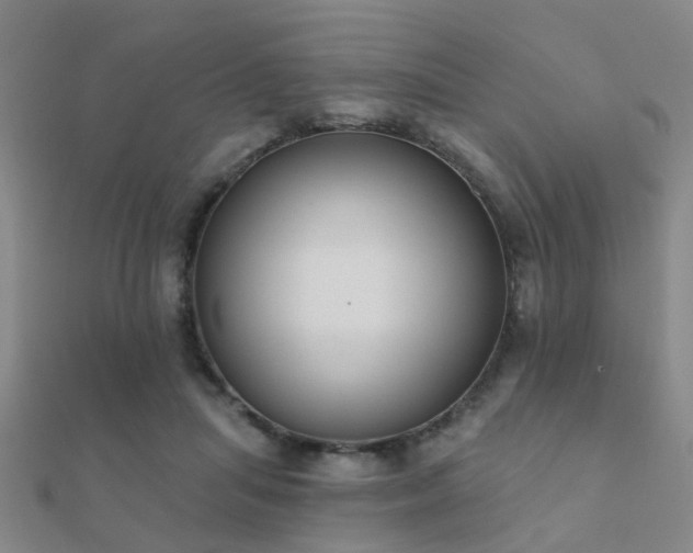 X0000112360455200908131459