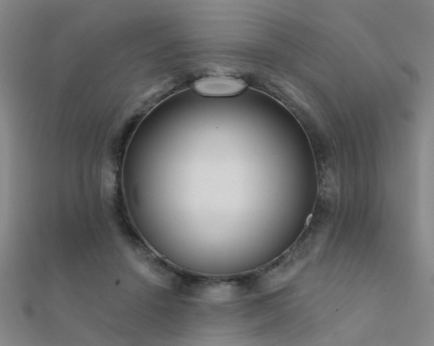 X0000112360456200908131459