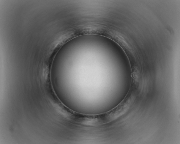 X0000112360458200908131459