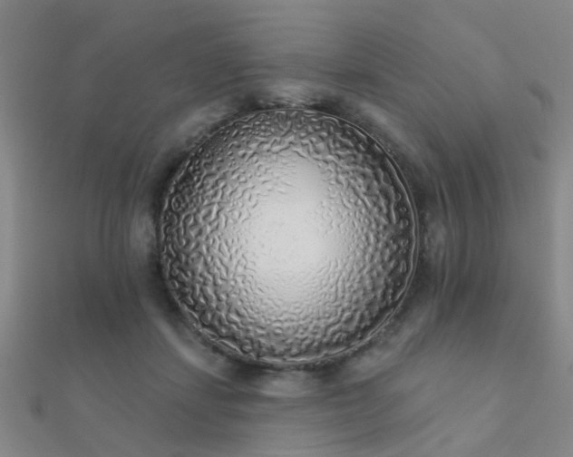 X0000112360459200908131459