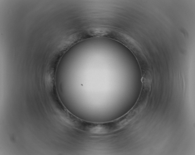 X0000112360460200908131459