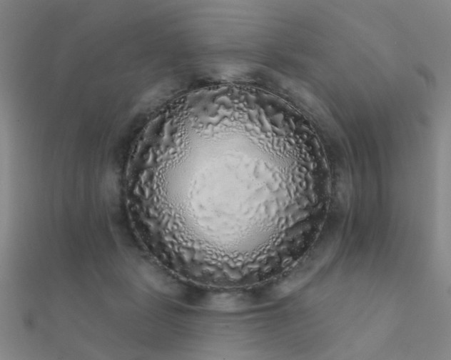 X0000112360461200908131459