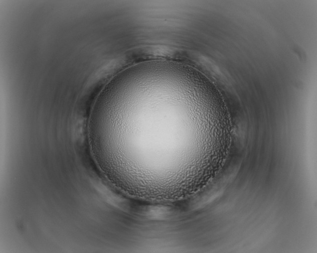 X0000112360462200908131459