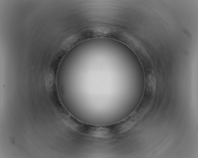 X0000112360463200908131459