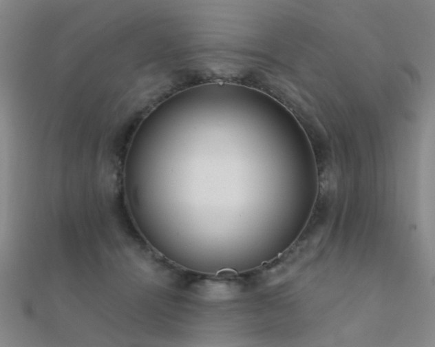 X0000112360464200908131459