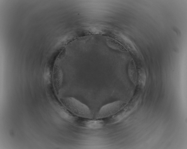 X0000112360465200908131459
