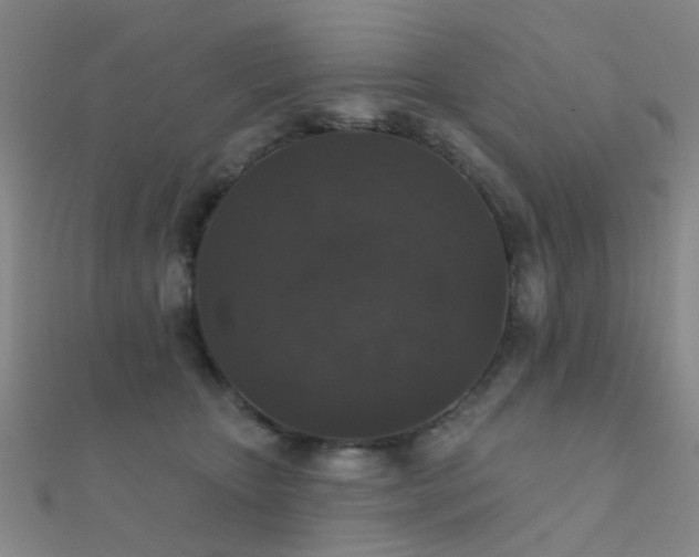 X0000112360467200908131459
