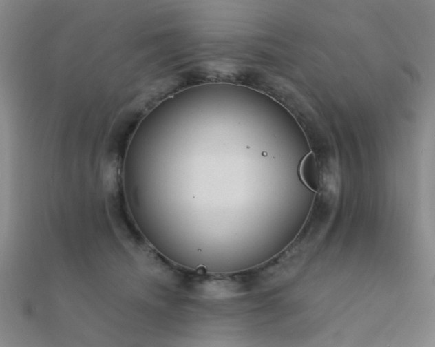 X0000112360468200908131459