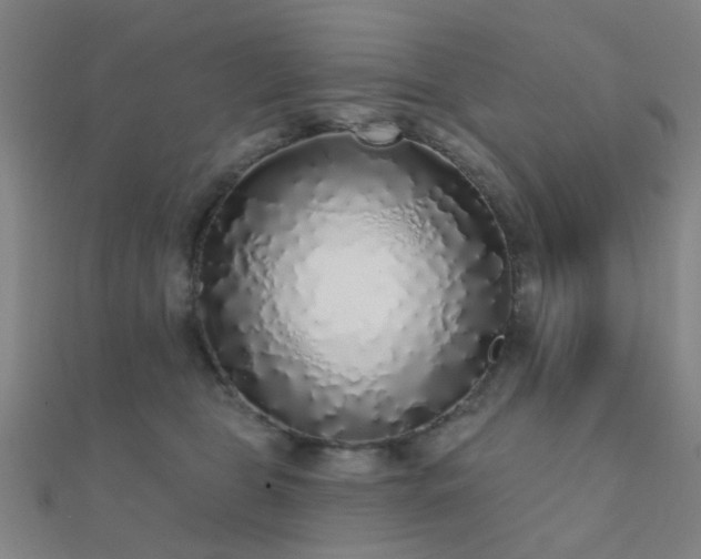 X0000112360469200908131459