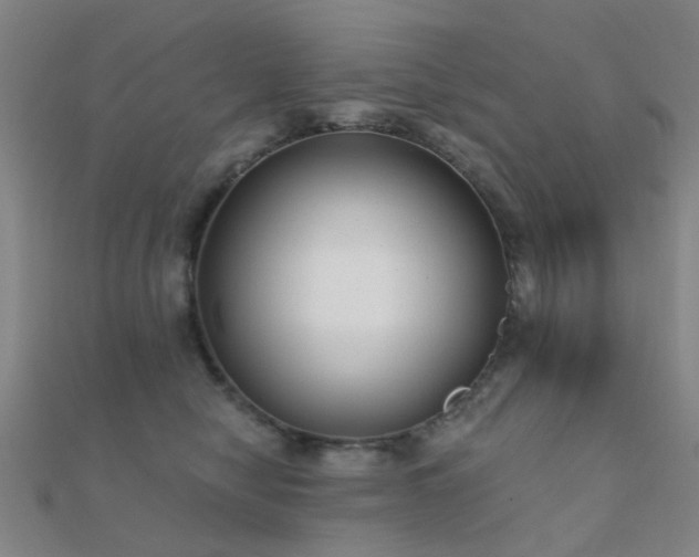 X0000112360470200908131459
