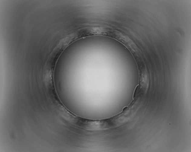 X0000112360473200908131500
