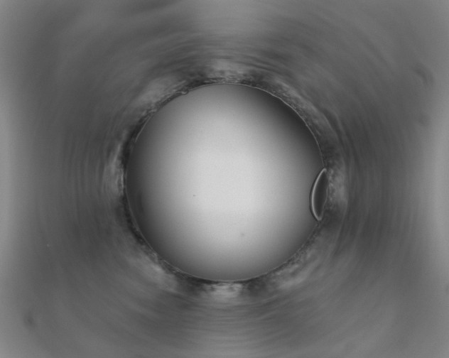 X0000112360474200908131500