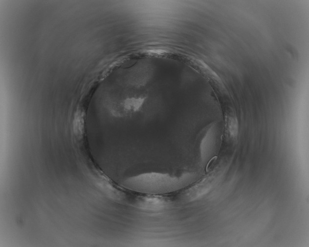 X0000112360475200908131500