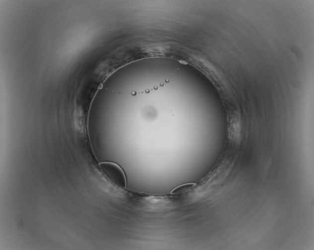 X0000112360477200908131500