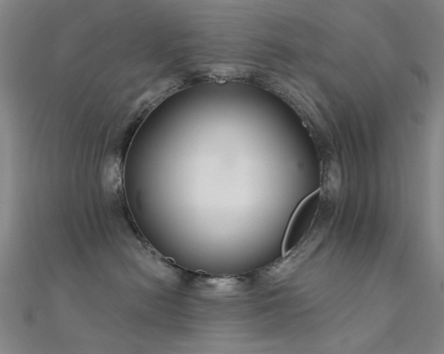 X0000112360478200908131500