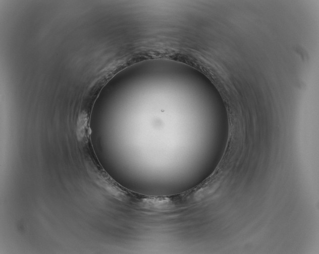 X0000112360480200908131500