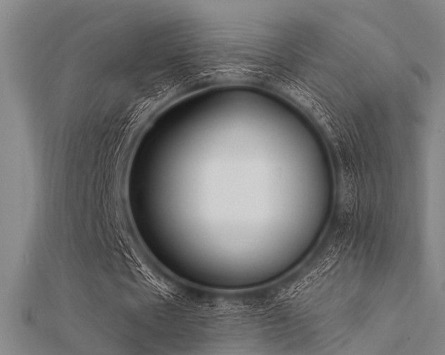 X0000112360481200908131459