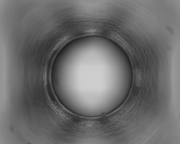 X0000112360482200908131459