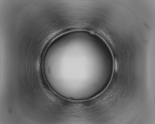 X0000112360483200908131459