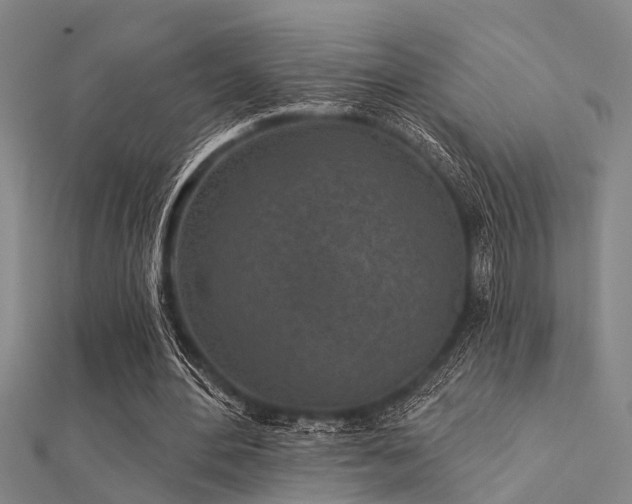 X0000112360484200908131459