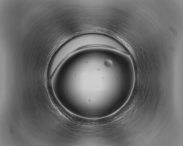 X0000112360485200908131459