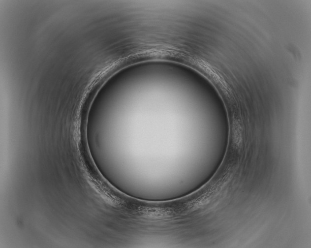 X0000112360486200908131459