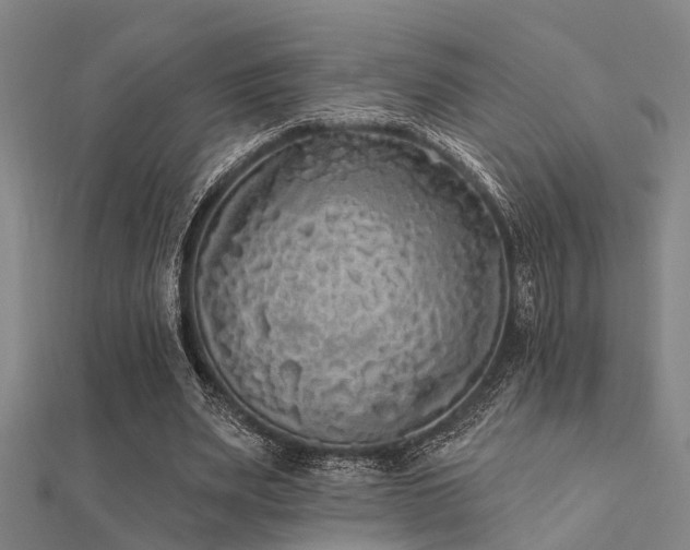 X0000112360487200908131459