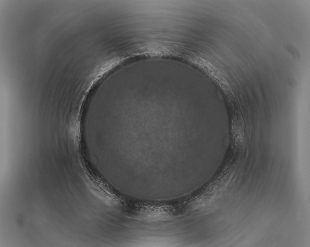 X0000112360488200908131459
