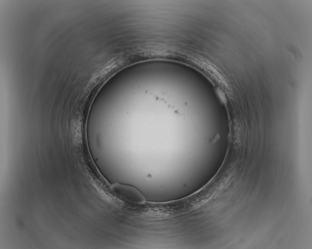 X0000112360489200908131459