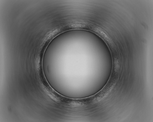 X0000112360490200908131459