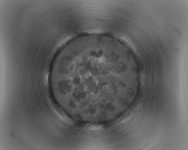 X0000112360491200908131459