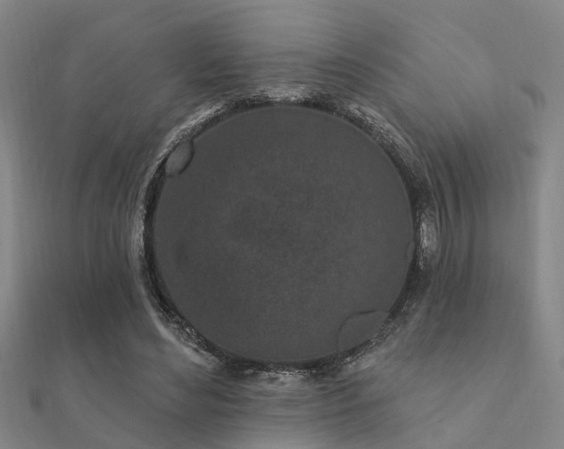 X0000112360492200908131459