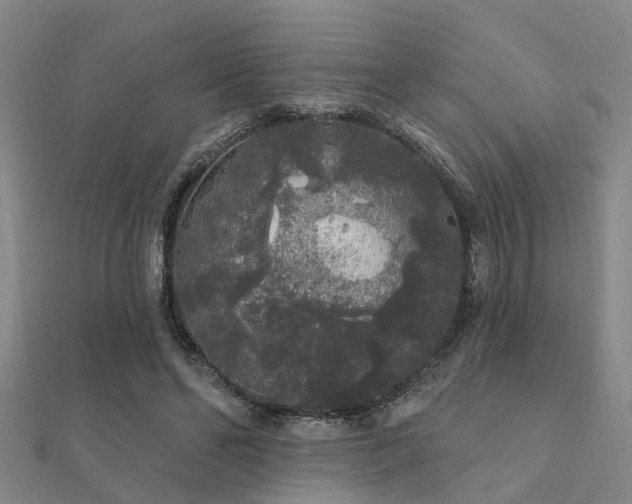 X0000112360494200908131459