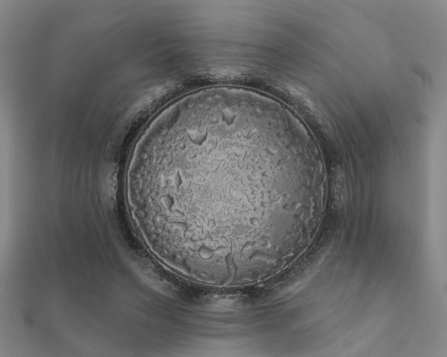 X0000112360495200908131459