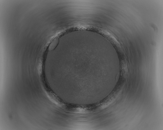 X0000112360496200908131459