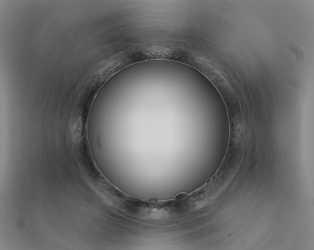 X0000112360498200908131459