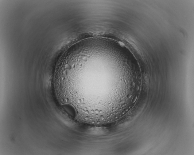X0000112360499200908131459