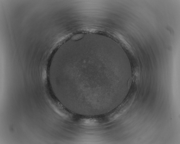 X0000112360500200908131459