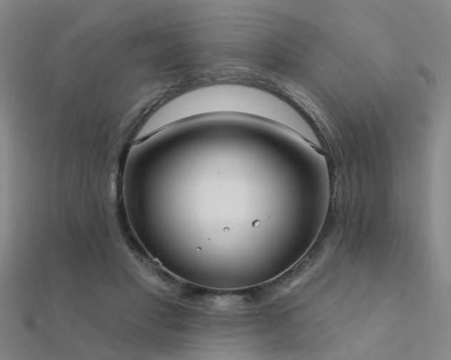 X0000112360501200908131459