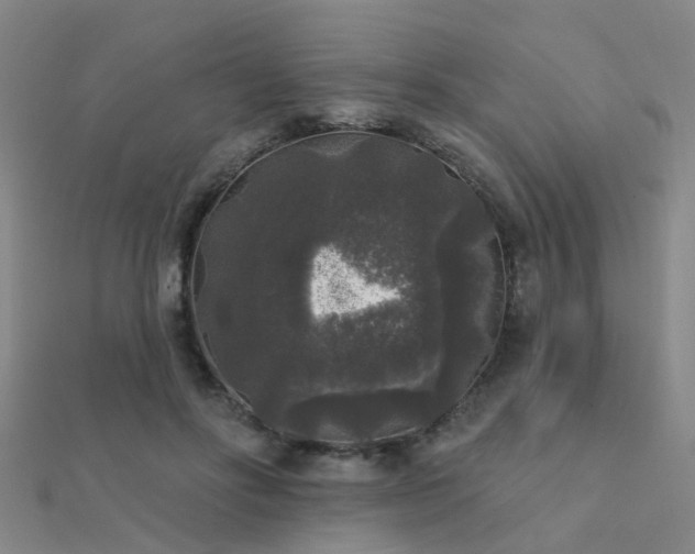 X0000112360502200908131459