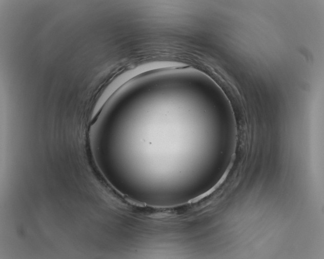 X0000112360505200908131459