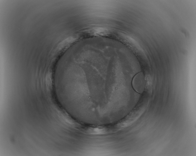 X0000112360506200908131459