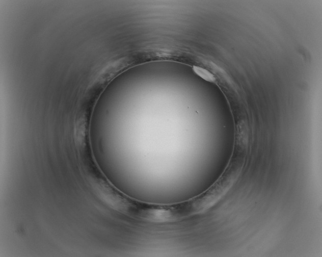 X0000112360509200908131458