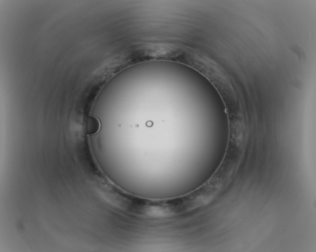 X0000112360510200908131458